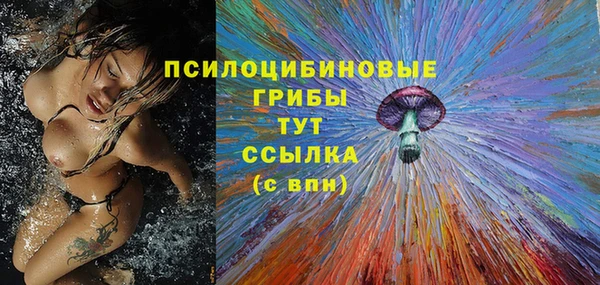 гашик Баксан
