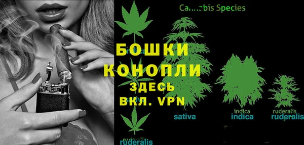 гашик Баксан