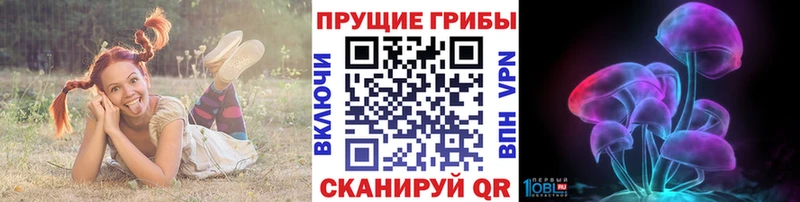 Галлюциногенные грибы Psilocybine cubensis Белогорск