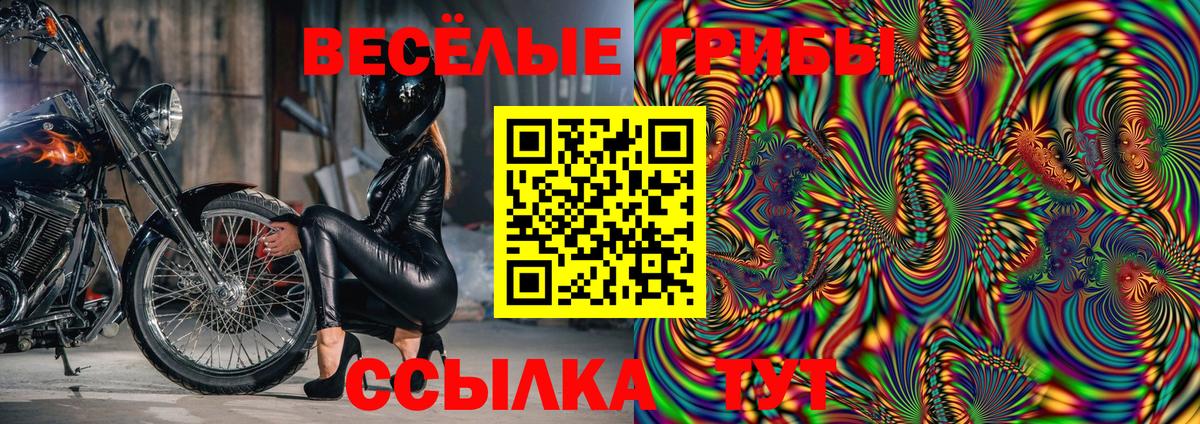 Псилоцибиновые грибы Psilocybe Белогорск